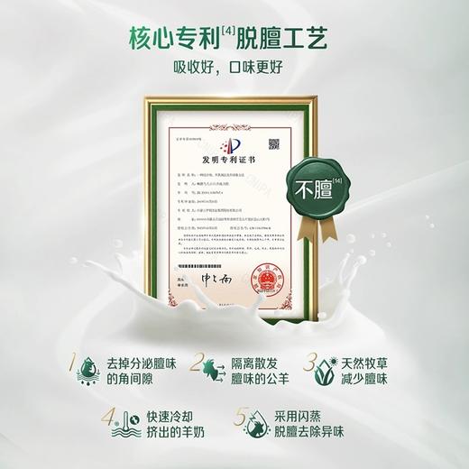 【冬日盛惠】伊利倍畅羊奶粉双益配方700g   100%纯羊乳 奶源倍纯净 新老包装随机发 商品图5