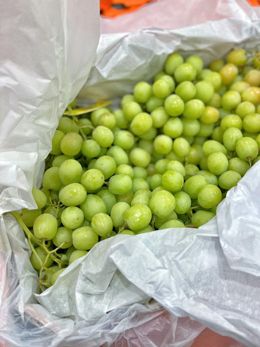 【甜地球】澳洲甜地球青提，无籽青提，果型圆硬度好，入口脆，甜度好！ 商品图2