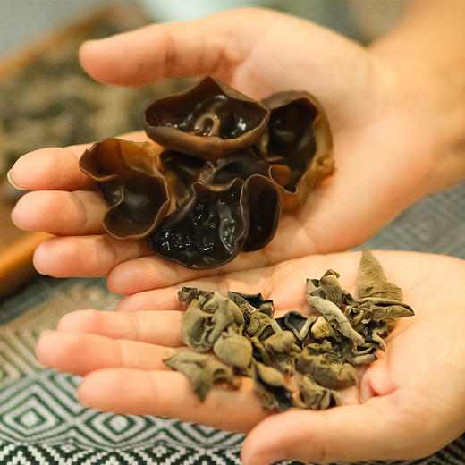 【秦岭野生干木耳 | 青川秋耳】秦岭大巴山深处自然生长 肉质鲜嫩口感顺滑 轻薄不压秤 约17倍泡发率 商品图7