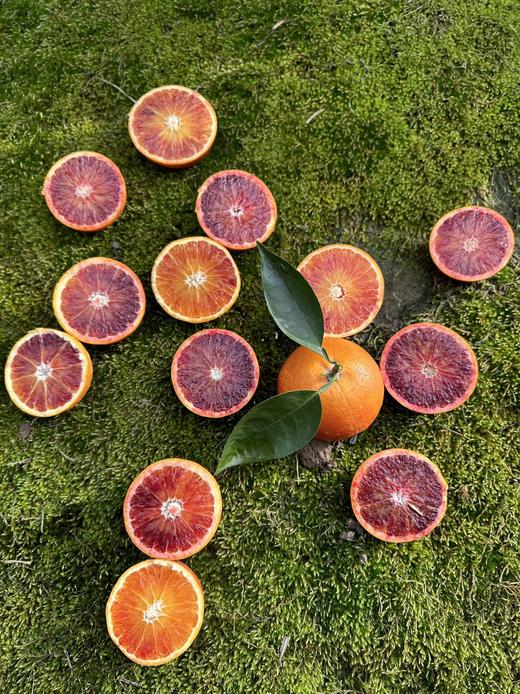 可食用的“红宝石”！李子妃【长寿湖血橙】九分甜一分酸！混合花香、果香、蜂蜜香！富含花青素~ 商品图5