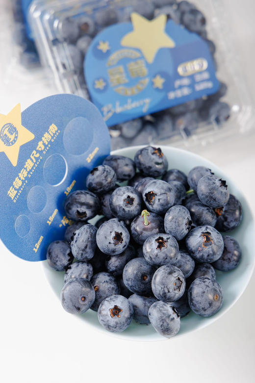 纯甜，嘎嘣脆｜星莓—雪山蓝莓 商品图0