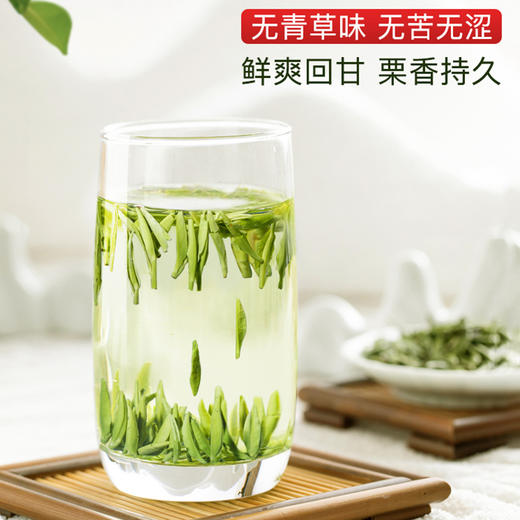 【2026年新茶】天府龙芽丨宜宾早茶 明前早春头采 特级 绿茶 50g 头采量少 商品图5
