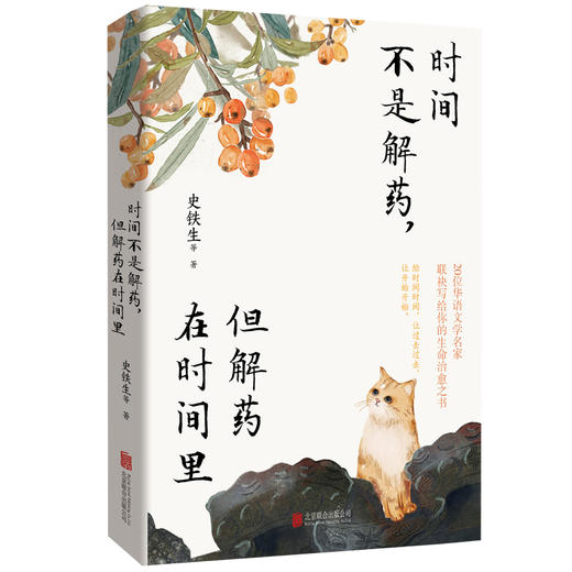 时间不是解药，但解药在时间里 | 史铁生领衔，沈从文、汪曾祺、丰子恺、贾平凹……20位华语文学名家联袂写给你的生命治愈之书！ 商品图1