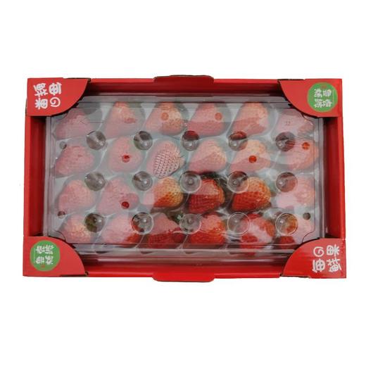 红颜草莓500g 商品图1