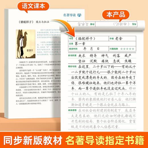 初中读书笔记练字帖课本同步七八九年级语文同步练字帖阅读摘抄本 商品图2
