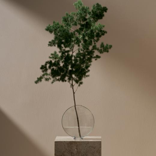 鱼嘴花瓶 RESONG日诵家居 玻璃花器插花饰品 商品图2