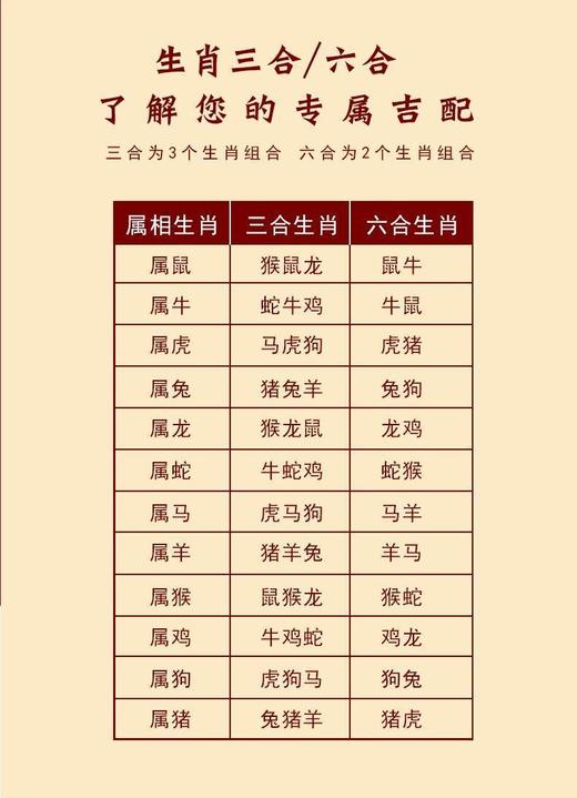 三合六合本命年生肖手串 商品图4