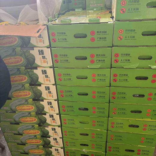 Sc蜜源18脆甜瓜 商品图2