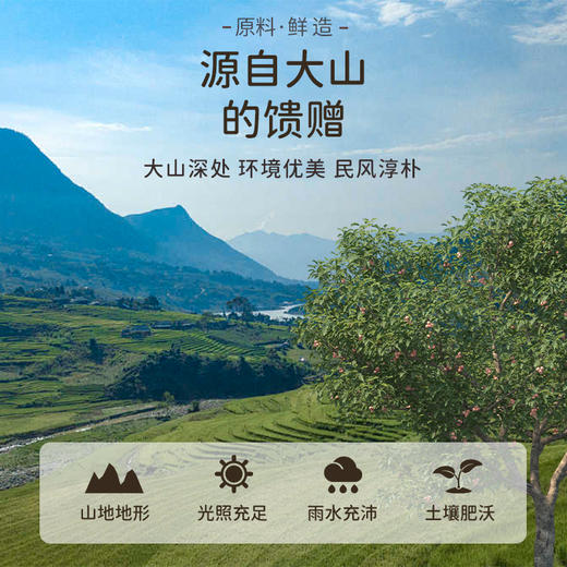 燕叨叨燕窝桃胶羹礼盒228g*6碗 速食代餐粥老人孕妇即食燕窝节日送礼 商品图8