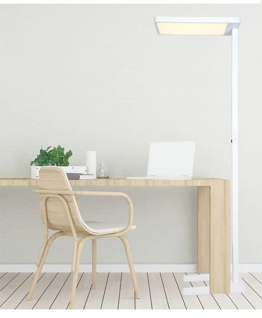 目瞳全光谱护眼落地大路灯，看书不揉眼，柔和无眩光 商品图1