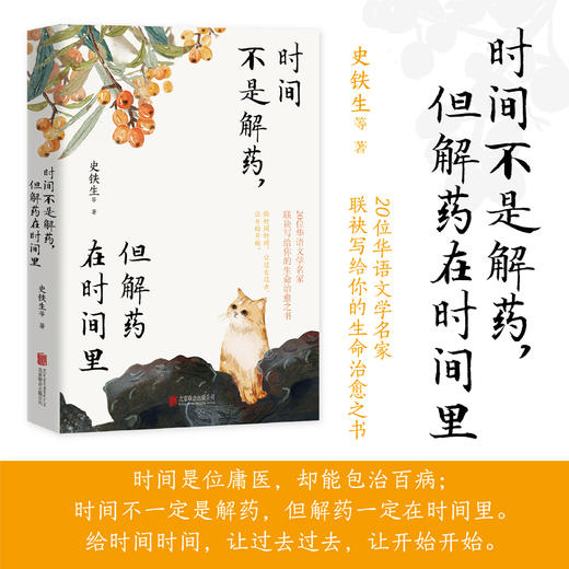 时间不是解药，但解药在时间里 | 史铁生领衔，沈从文、汪曾祺、丰子恺、贾平凹……20位华语文学名家联袂写给你的生命治愈之书！ 商品图0