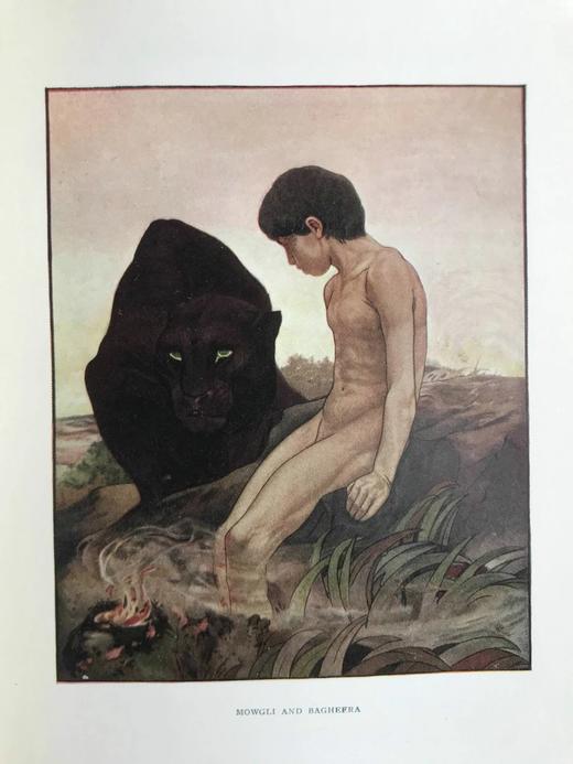 1909年 吉卜林《丛林之书》 16幅精美彩色插图 漆布精装32开 商品图12