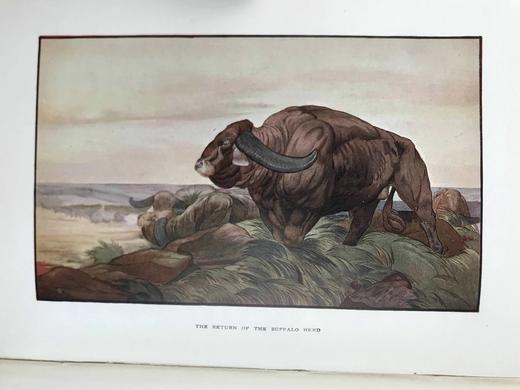 1909年 吉卜林《丛林之书》 16幅精美彩色插图 漆布精装32开 商品图5