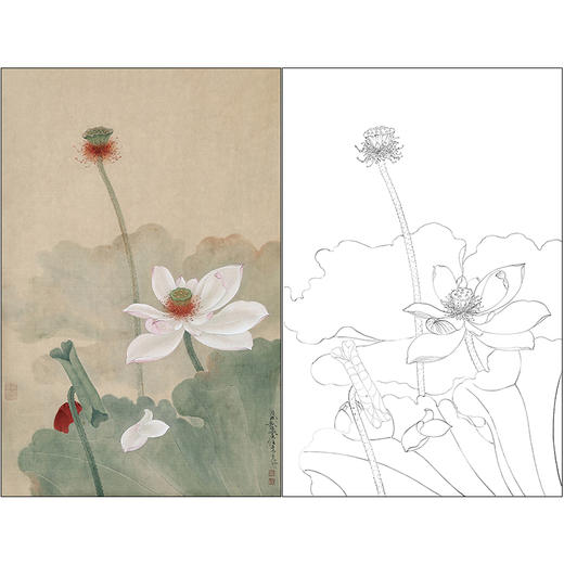 任重花鸟工笔画白描底稿《芙渠图》荷花临摹勾线高清打印稿RD34 商品图0