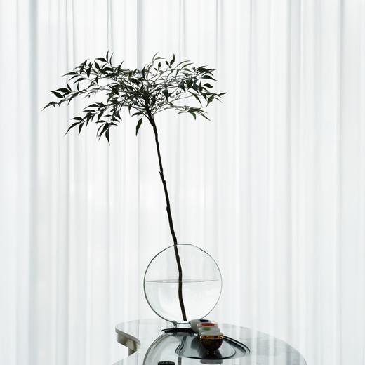 鱼嘴花瓶 RESONG日诵家居 玻璃花器插花饰品 商品图10