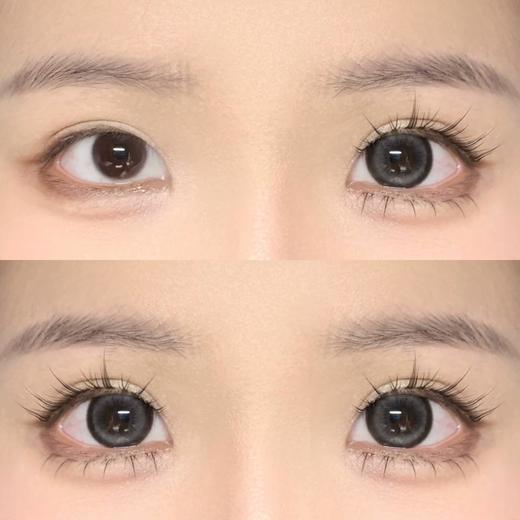 Fufullcon半年抛品牌-黑巧大芙 商品图3