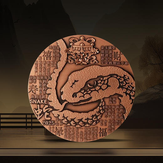 【少量现货】2025生肖蛇年护身佛圆形大铜章 商品图1