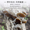 【秦岭野生干木耳 | 青川秋耳】秦岭大巴山深处自然生长 肉质鲜嫩口感顺滑 轻薄不压秤 约17倍泡发率 商品缩略图0