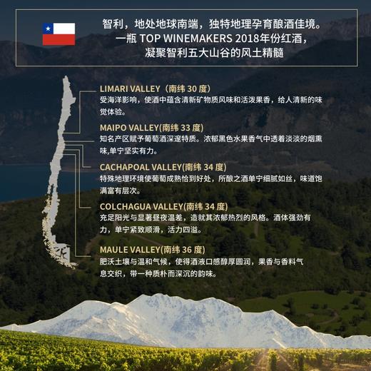 【智利红酒】华大原瓶进口TOPWINEMAKERS赤霞珠葡萄酒2018年750ml五年熟化14度干型含礼盒红酒送礼 商品图6