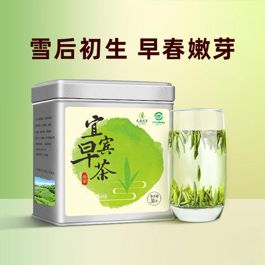 【2026年新茶】天府龙芽丨宜宾早茶 明前早春头采 特级 绿茶 50g 头采量少 商品图7