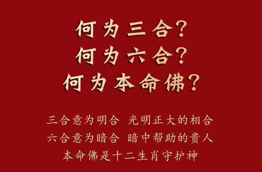 三合六合本命年生肖手串 商品图1