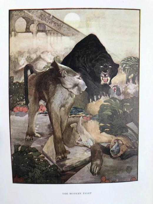 1909年 吉卜林《丛林之书》 16幅精美彩色插图 漆布精装32开 商品图3