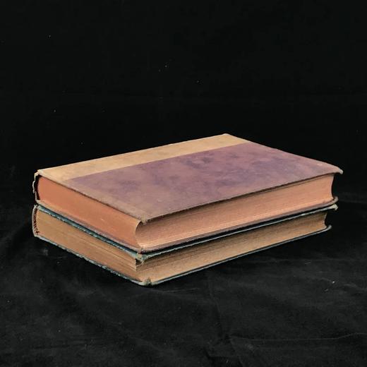 1898年 弗里乔夫·南森《极北之旅》（全2卷） 约百幅插图 漆布精装18开 商品图1