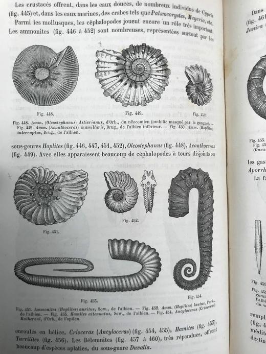 【法语】1885年 拉帕朗《地质学论文集》 666幅版画插图 真皮精装18开 商品图7
