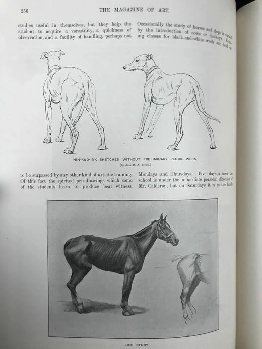 1898年 艺术杂志 数百幅精美插图 真皮脊精装大16开 商品图5