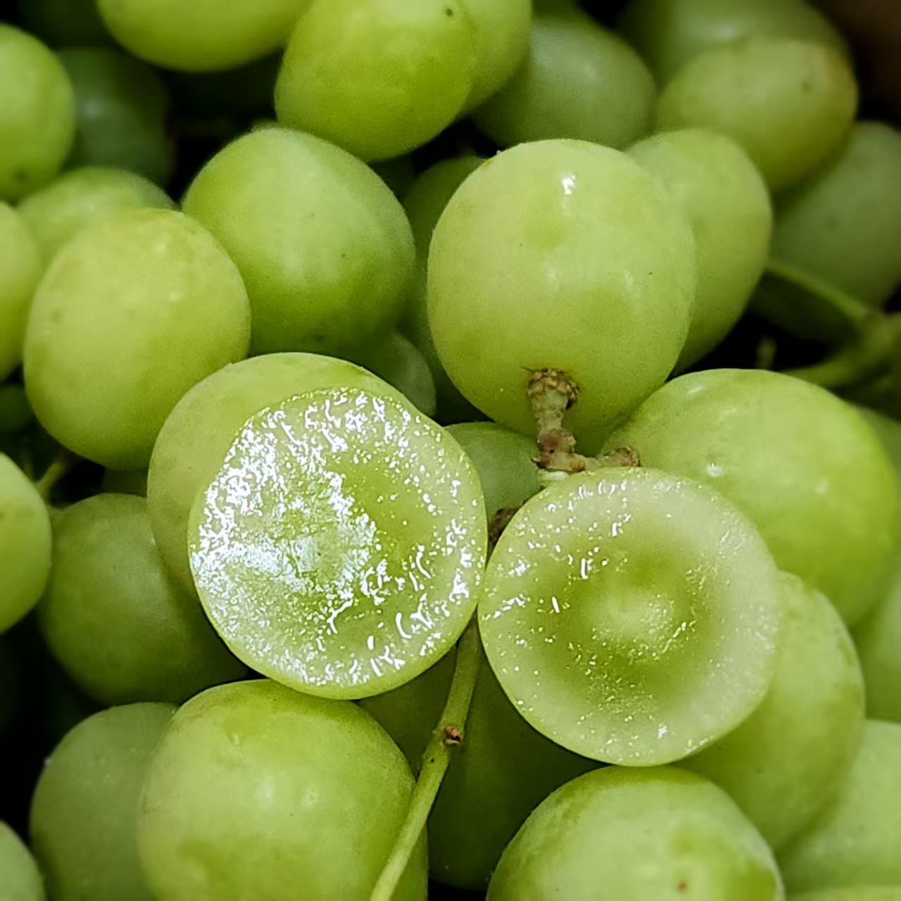 澳洲空运✈️甜地球青提  单份850克左右