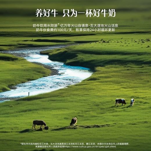 认养一头牛纯牛奶有机A2β酪蛋白儿童牛奶 有机慢一点 成长好一点 商品图1