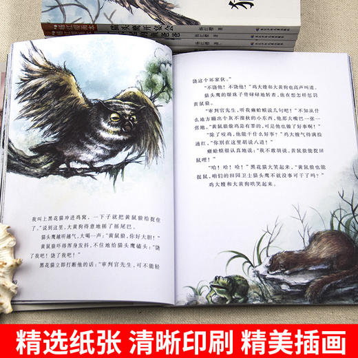 杨红樱画本科学童话系列（全6册） 商品图2