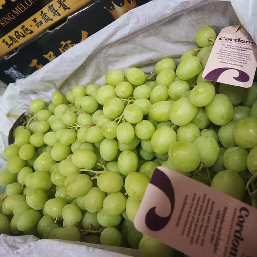 澳洲空运✈️甜地球青提  单份850克左右 商品图3