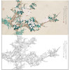 任重花鸟工笔画白描底稿《雪梨斑鸠》梨花临摹勾线高清打印稿RD42 商品缩略图0