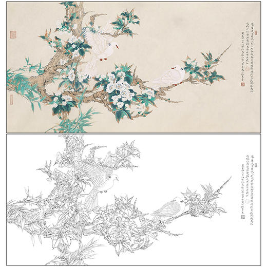 任重花鸟工笔画白描底稿《雪梨斑鸠》梨花临摹勾线高清打印稿RD42 商品图0