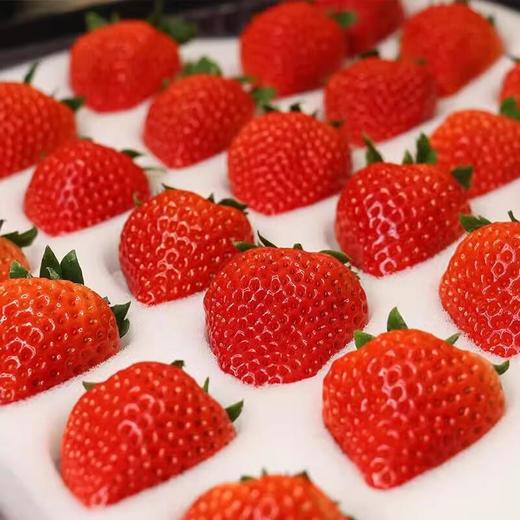 红颜草莓500g 商品图2