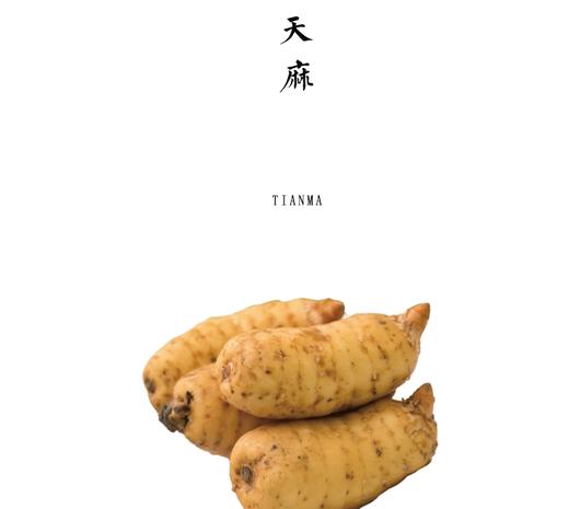 壹禾原林下仿野生种植新鲜乌天麻【基地直发】 商品图0