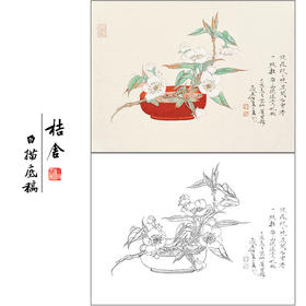 任重花鸟工笔画白描底稿《白云香一枝》临摹勾线高清打印稿RD40