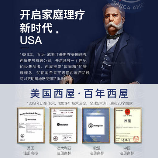 西屋（Westinghouse）特定电磁波谱治疗仪_T-21A 商品图3