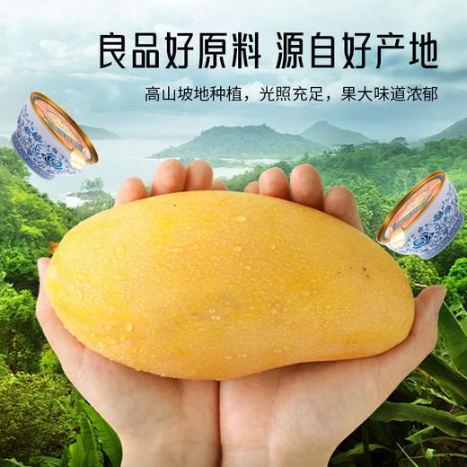 燕叨叨杨枝甘露风味罐头 礼盒装 港式风味 果汁饮品夏季即食1箱*228g*6碗 商品图3