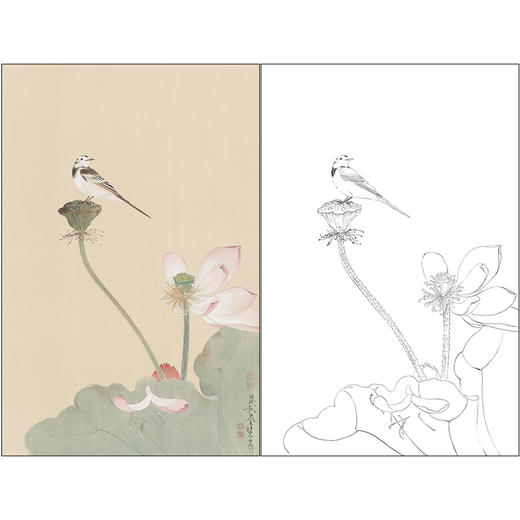 任重花鸟工笔画白描底稿《秋荷鹡鸰》临摹勾线高清打印稿RD33 商品图0