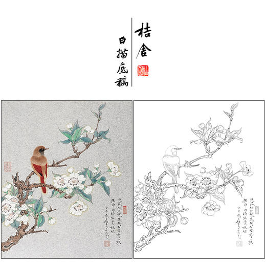 任重花鸟工笔画白描底稿《花开白雪香》临摹勾线高清打印稿RD38 商品图0