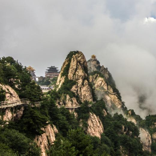 【十人专属】边玩边养老丨漫游洛阳，赏尽神州牡丹国色，观老君山云海翻腾，探寻千年古都魅力！ 商品图6