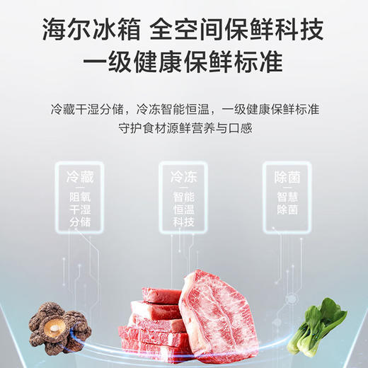 海尔法式冰箱461升零嵌入式式多门四开门对开门电冰箱家用全空间保鲜科技一级能效风冷无霜超薄大容量 EPP超净系统+阻氧干湿分储+三档变温 商品图2