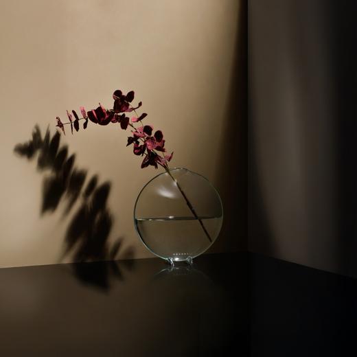 鱼嘴花瓶 RESONG日诵家居 玻璃花器插花饰品 商品图6