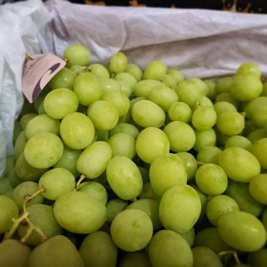 澳洲空运✈️甜地球青提  单份850克左右 商品图4