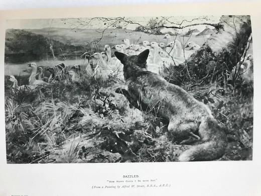 1898年 艺术杂志 数百幅精美插图 真皮脊精装大16开 商品图3