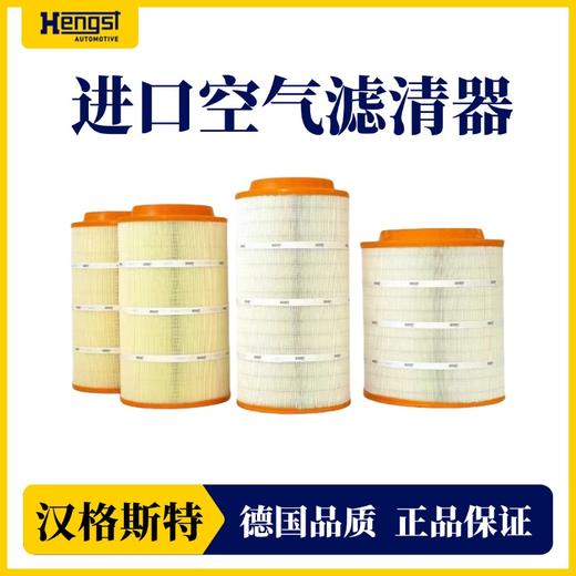 汉格斯特 斯堪尼亚E1568L空气滤芯进口滤芯 商品图2