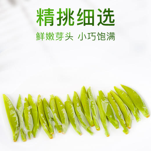 【2026年新茶】天府龙芽丨宜宾早茶 明前早春头采 特级 绿茶 50g 头采量少 商品图4