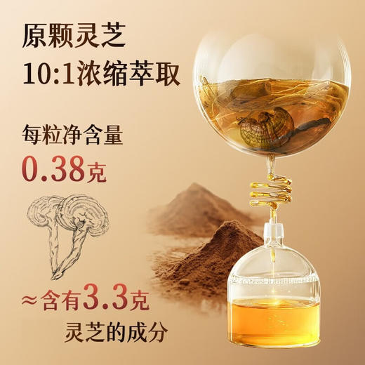 Vita Green 维特健灵五色灵芝72粒 商品图2